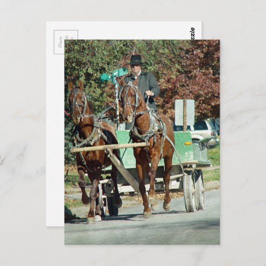 二馬隊 ポストカード (正面/裏面)