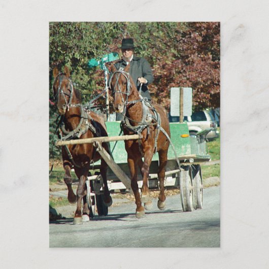 二馬隊 ポストカード (正面)