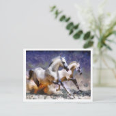 二馬駆け ポストカード (スタンド正面)