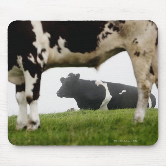 二 マウスパッド (正面)