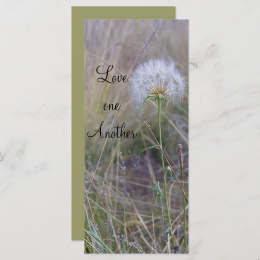 互いに愛し合う (正面/裏面)