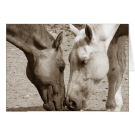 互いに愛し合う