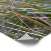 「互いに愛し合う」フローラポスター ポスター (角)