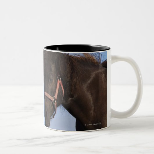 互いに直面しているアイスランドの馬 ツートーンマグカップ (右)