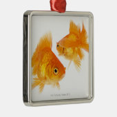 互いを交差させている2金魚 メタルオーナメント (右)