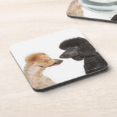 互いを検査しているプードル コースター (左側)