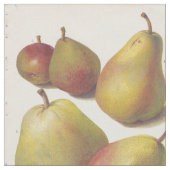 五ヴィンテージ梨図解入りの、写真付きの織物 ファブリック (クローズアップ)