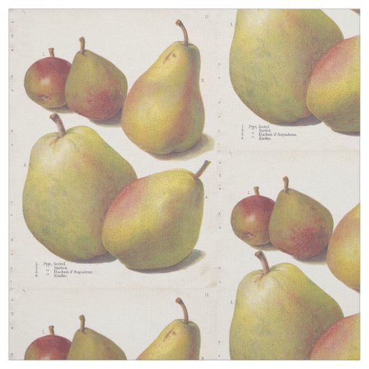 五ヴィンテージ梨図解入りの、写真付きの織物 ファブリック (見本)