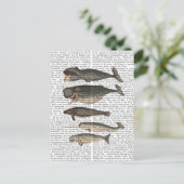 五ヴィンテージ鯨 ポストカード (スタンド正面)