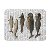 五ヴィンテージ鯨 マグネット (横)
