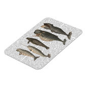 五ヴィンテージ鯨 マグネット (左側)