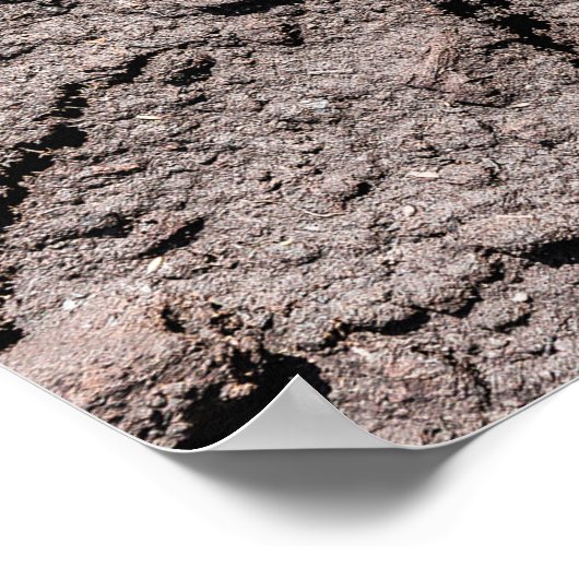 五人目が出た ポスター (角)