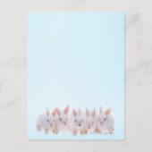 五兎 ポストカード (正面)