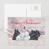 五冬 ポストカード (正面/裏面)