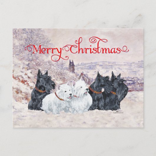 五冬 ポストカード (正面)