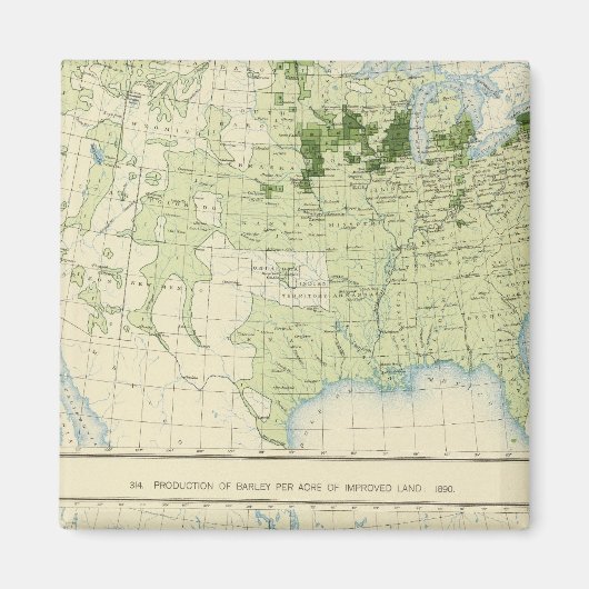 五十大麦1890 マグネット (正面)