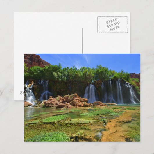 五十足秋 ポストカード (正面/裏面)