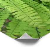 五指 maidenhair シダ ポスター (角)