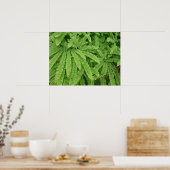 五指 maidenhair シダ ポスター (キッチン)