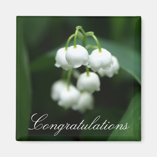 五月の白いユリ マグネット (正面)