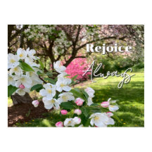 五月の花は常に喜べ