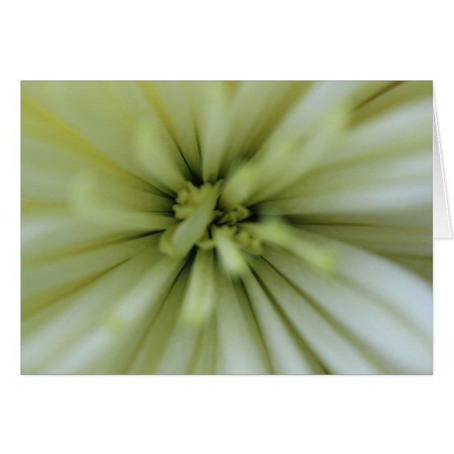 五月の花 (正面横)