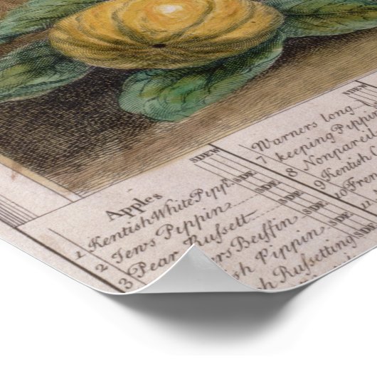 五月， '12ヶ月の果実' ポスター (角)