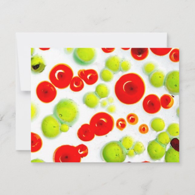 五番の庭 (正面)