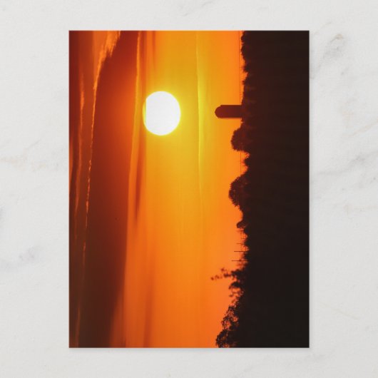 五百和 ポストカード (正面)