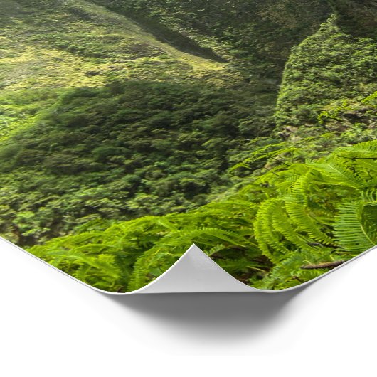 五百谷 ポスター (角)