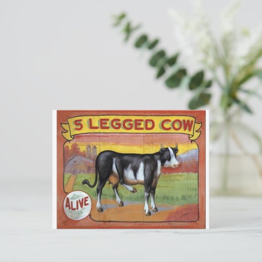 五脚牛 ポストカード (スタンド正面)