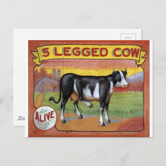 五脚牛 ポストカード (正面/裏面)