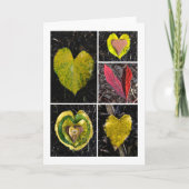 五葉 カード (正面)