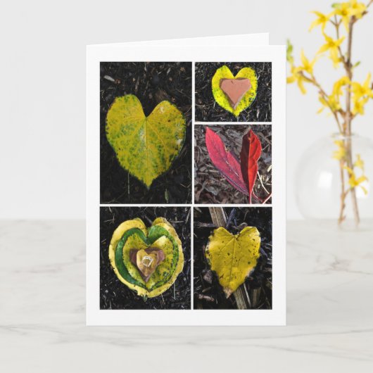 五葉 カード (黄色い花)