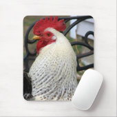 五足指のオンドリ写真 マウスパッド (マウス)