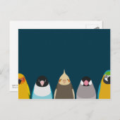 五鳥イラストレーション – 鳥の色 ポストカード (正面/裏面)