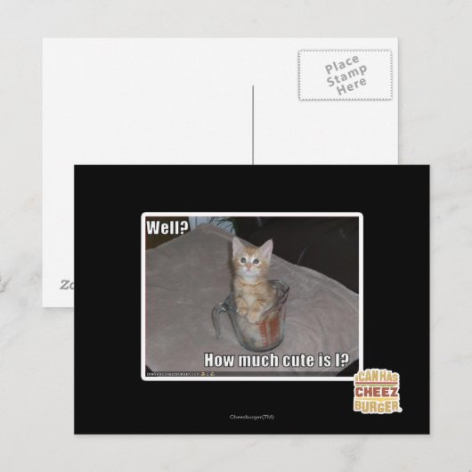 井戸か。 ポストカード (正面/裏面)