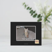 井戸か。 ポストカード (スタンド正面)