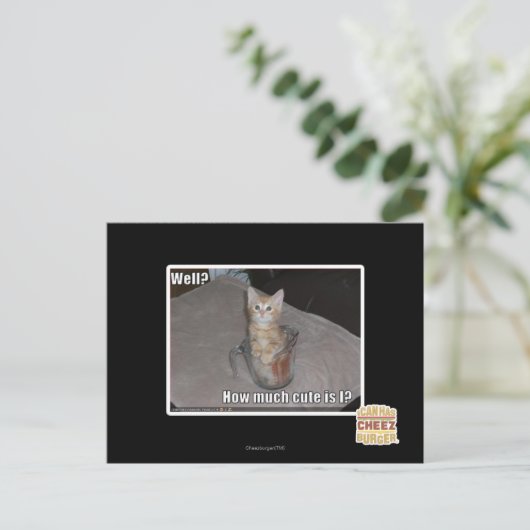 井戸か。 ポストカード (スタンド正面)