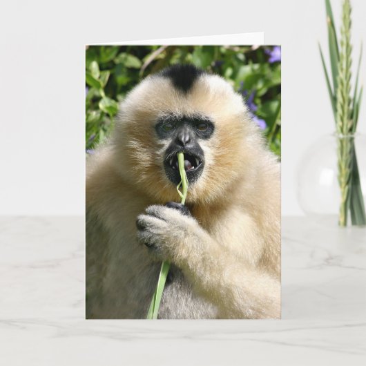 井戸こんにちはそこに カード (正面)