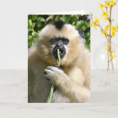 井戸こんにちはそこに カード (黄色い花)