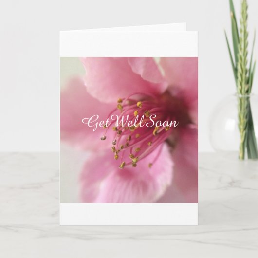 井戸すぐに|の写真カードを得て下さい カード (正面)