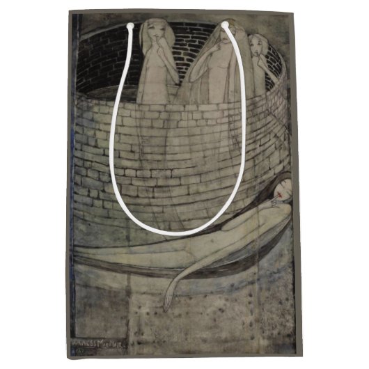 井戸の底に真理がある ミディアムペーパーバッグ (正面)