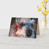 井戸を、有望すぐに得て下さい カード (黄色い花)