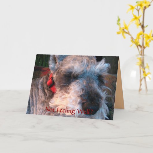 井戸を、有望すぐに得て下さい カード (黄色い花)