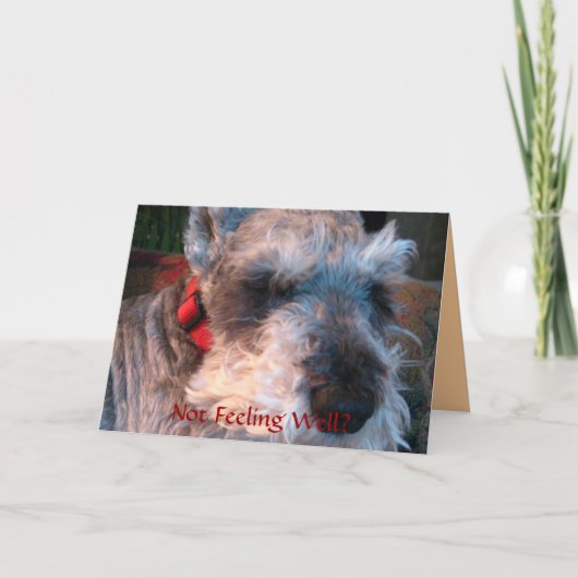 井戸を、有望すぐに得て下さい カード (正面)