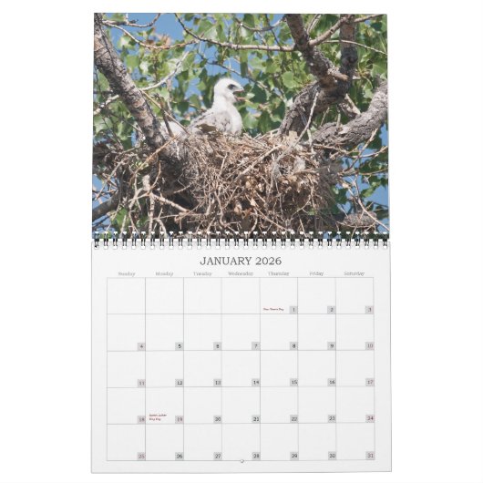 井戸2011年 カレンダー (1月 2026)