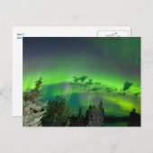 亜寒帯林の上のオーロラ ポストカード (正面/裏面)
