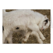 亜美子遊 (正面横)