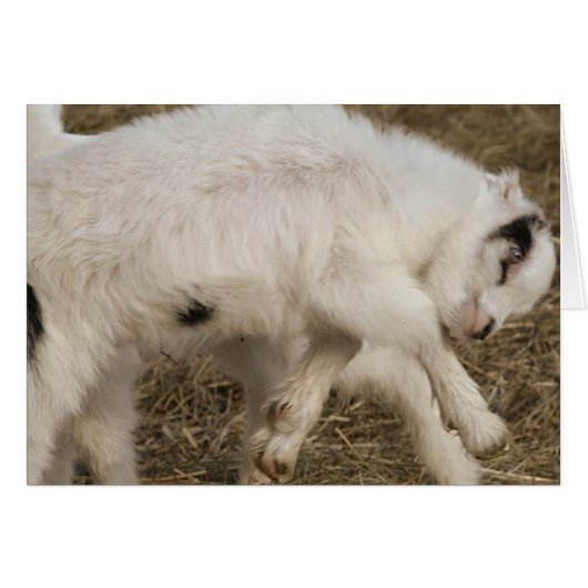 亜美子遊 (正面横)